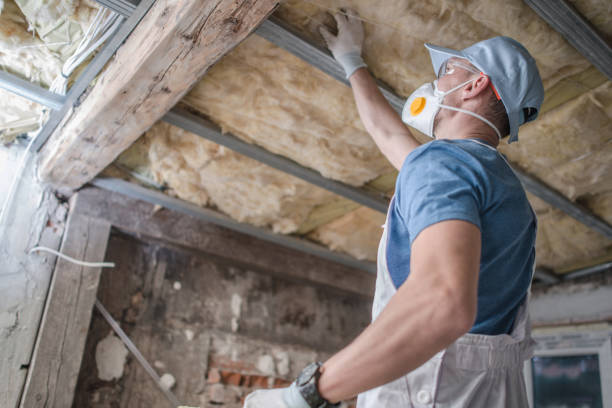 Best Specialty Insulation in Albertville, MN