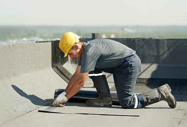 Best Commercial Insulation in Albertville, MN